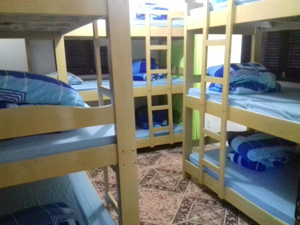 Live Hostel room 6